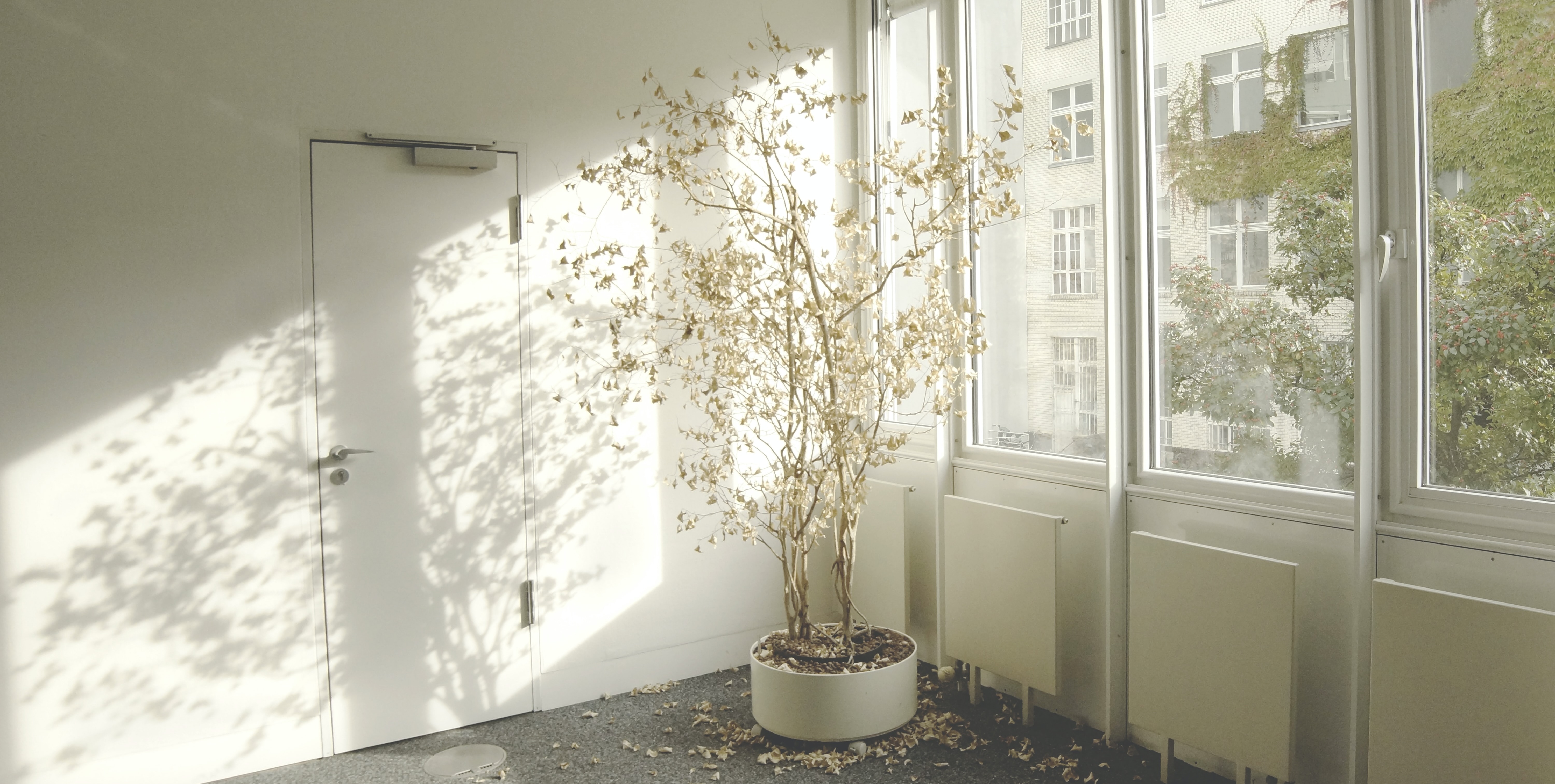 Allowing Room for Grief