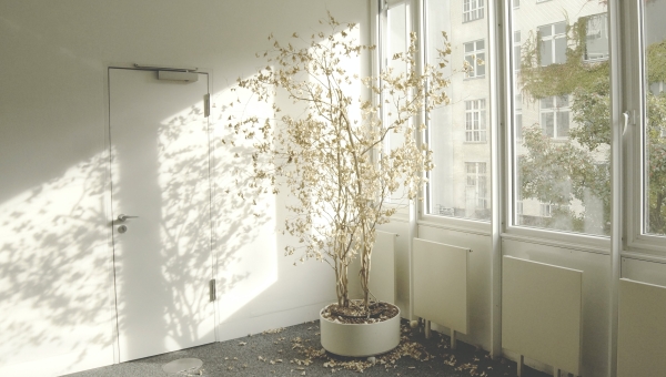 Allowing Room for Grief